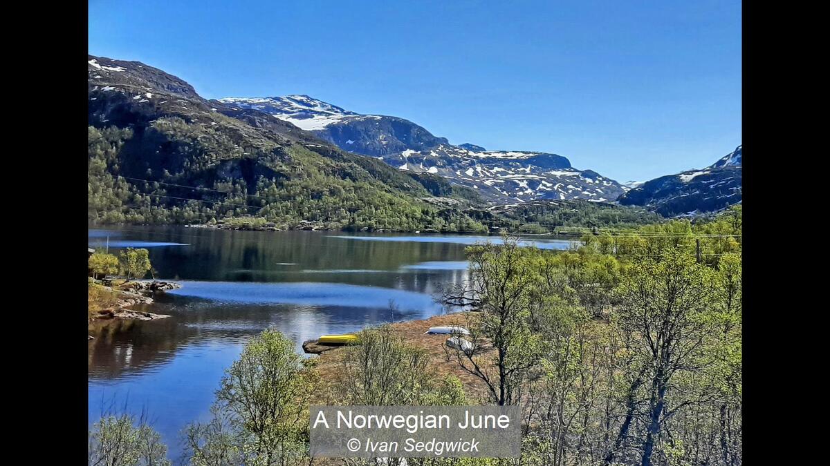 A Norwegian June